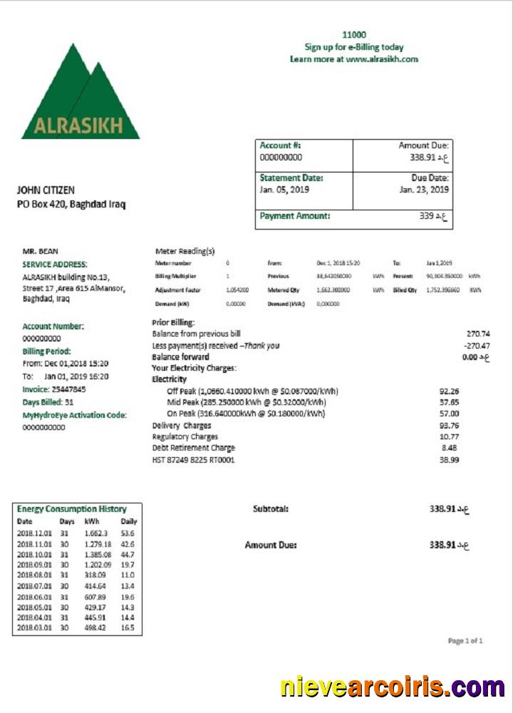 Iraq AlRasikh electricity utility bill